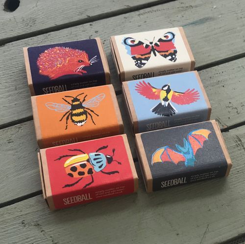 Wildflower Collection Seed Boxes (Cost £6.25, RRP £15)